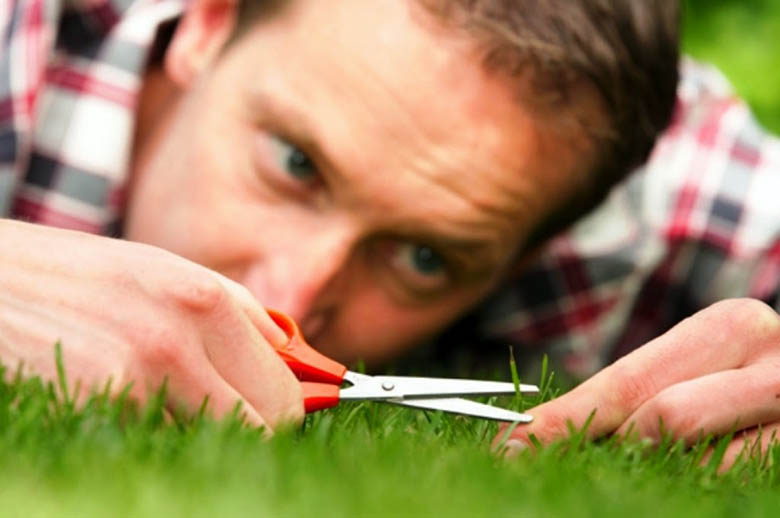 الالتزام الظاهري بلا طائل